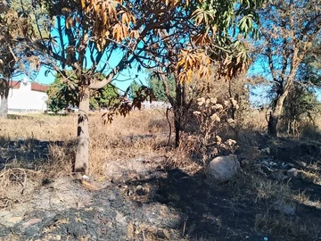 Commercial & Industrial Land