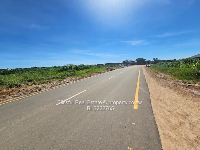 Stands!! Stands!! Stands!!