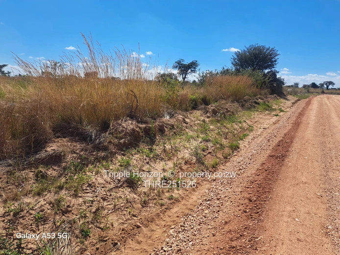 Chiedza Park Stands for Sale