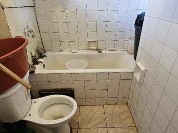 Flat & Apartment