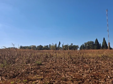 Glenforest 41 hectares with Deeds 