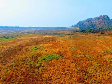 Farm & Agricultural Land