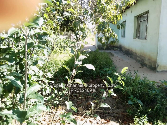 3-Bed Home with Gated Front & Spacious Yard, Rusape