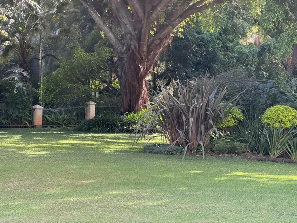 4 Bedroom Townhouse Complex