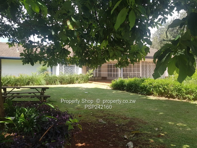 Family Home with a Cottage!