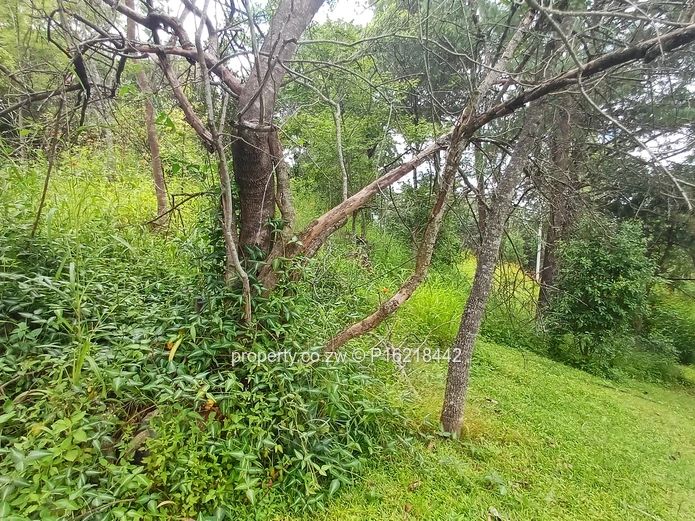 5400m^2 vancant piece of land (Sole Mandate)