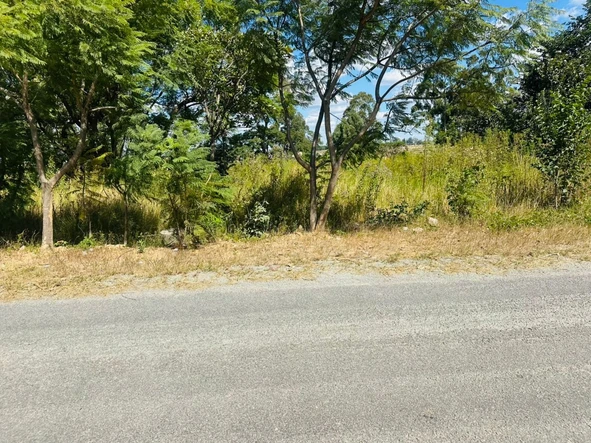 Commercial & Industrial Land