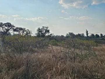 Land
