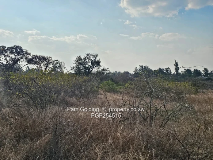 Burnside 1 Acre Residential Stand