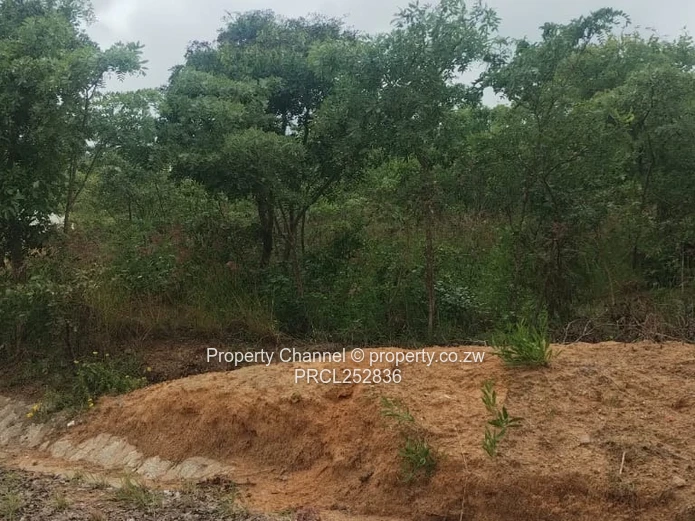2159m² Corner Stand with Mature Trees in Rotsvlei Park, Marondera