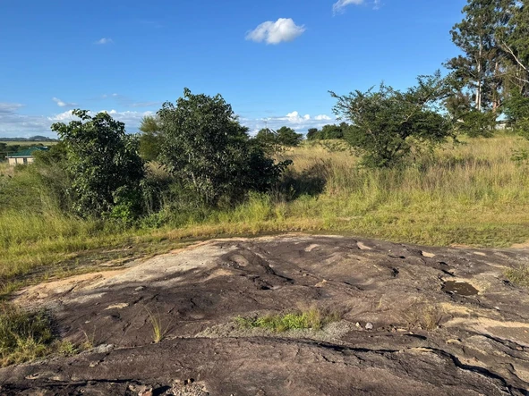 Commercial & Industrial Land