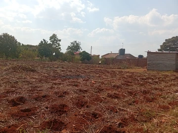Stands & Residential Land