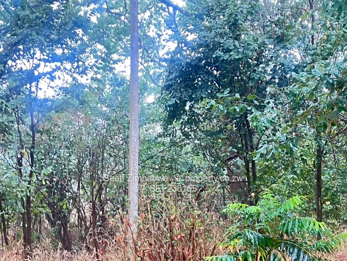 Land For Sale In Mandara