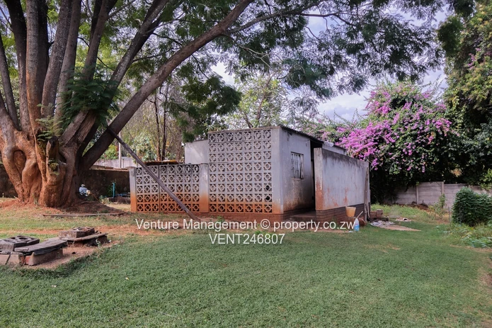 Executive 4-Bedroom House To Let
