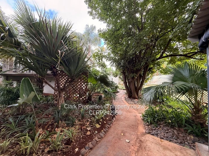 Medical & Wellness Rooms To Let – Highlands