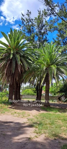 Renovators/Investors opportunity 3 821sqm (Sole Mandate)