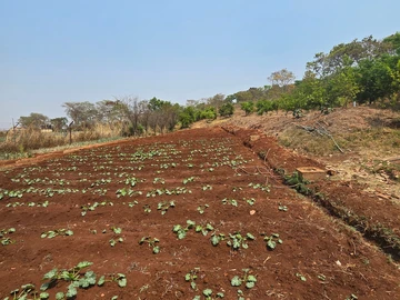 Farm & Agricultural Land