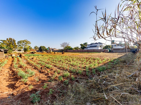 Stands & Residential Land