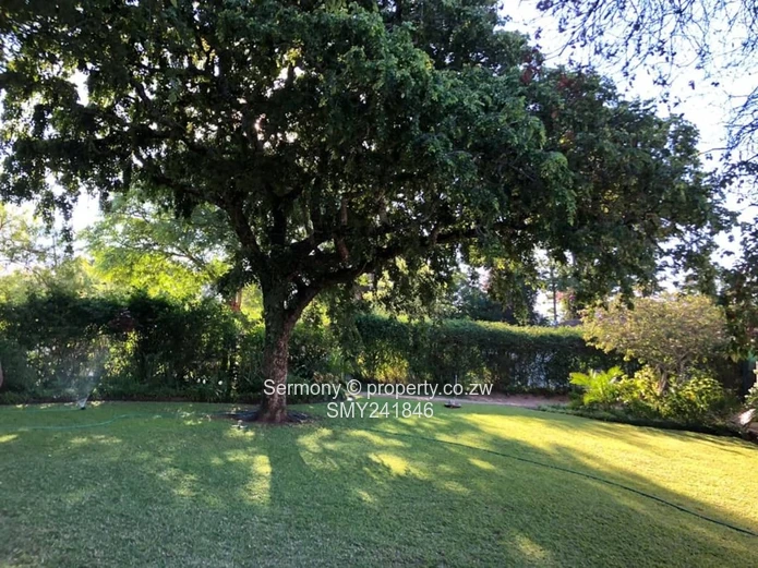 The Perfect Home Up For Grabs