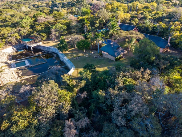 Farm & Agricultural Land