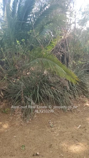 Mt Pleasant Northwood Land for Sale