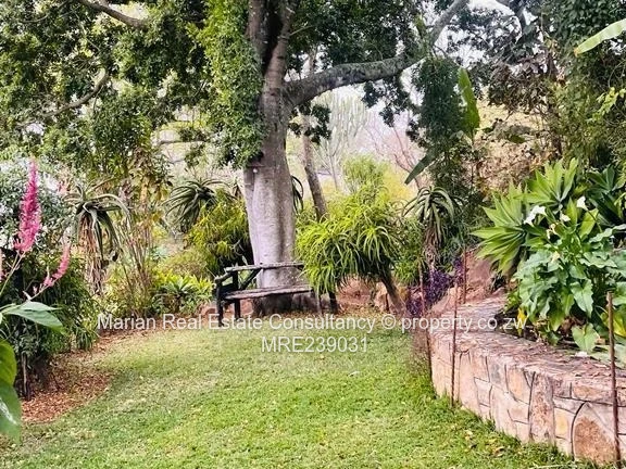 Burnside, Stand FOR SALE