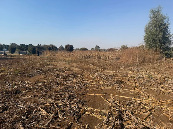 Stands & Residential Land