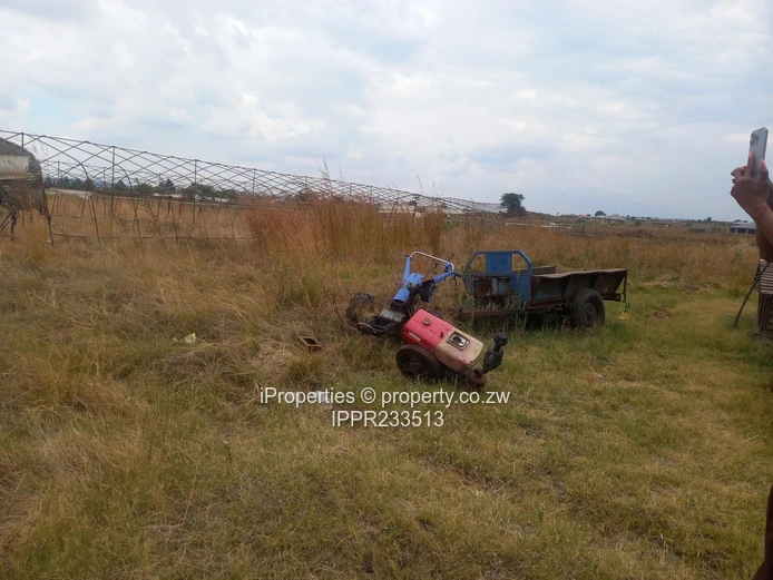 A 2.6Ha plot in Rainham is available for sale at $130000