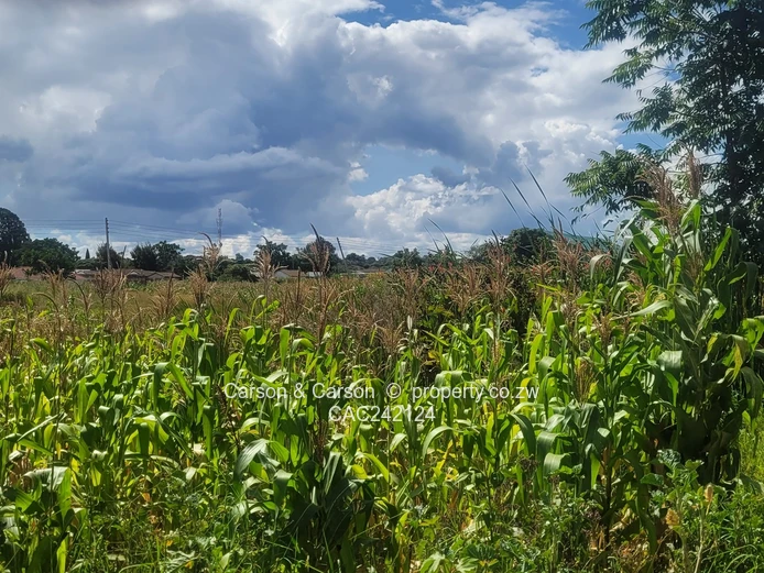 Prime, well established and mature suburb of Chadcombe with massive invetment potential