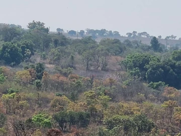 Farm & Agricultural Land