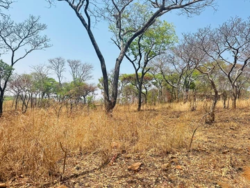 Farm & Agricultural Land