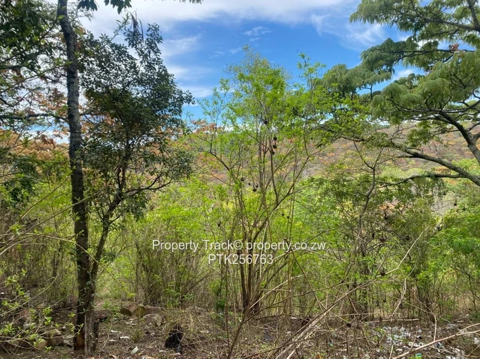 2.184 hectares of significant acreage plot in Christon Bank! (Sole Mandate)