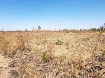 Commercial & Industrial Land