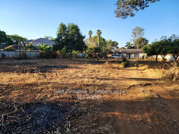 Prestigious Windmill Lane: Premier 2,800sqm Subdivision Stand with Income Cottage
