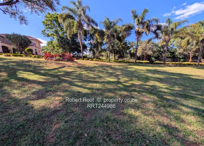 Greystone Park Stands For Sale 