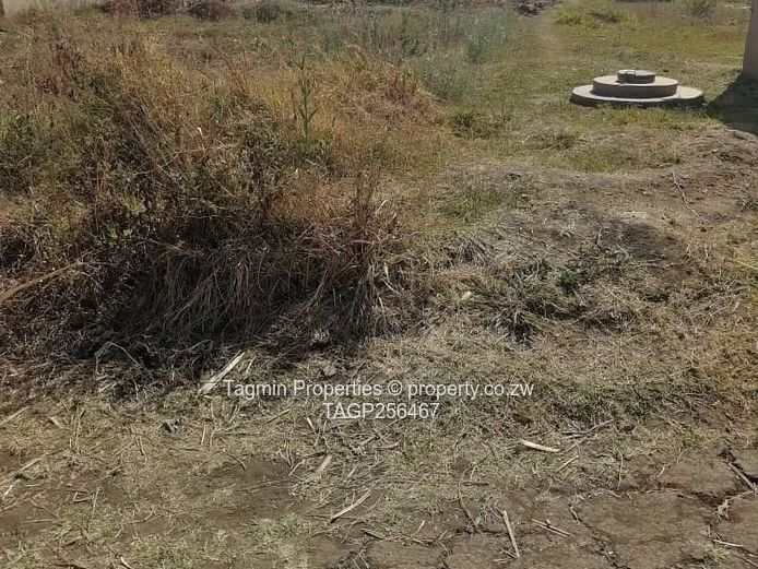 Stand forsale kuwadzana 8 council cession Quick sale