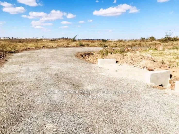 Investment Opportunity