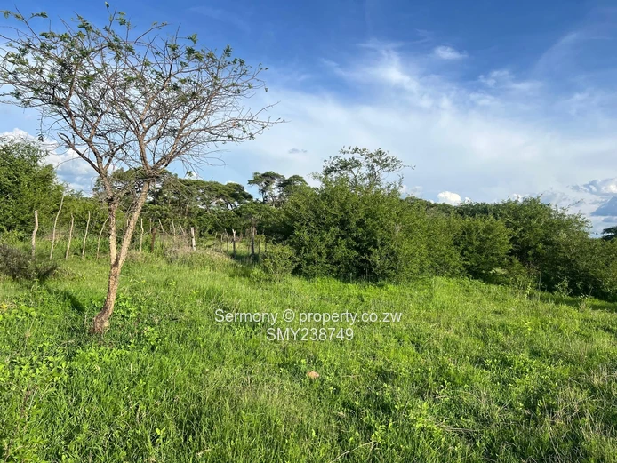 Agricultural Farm For Sale