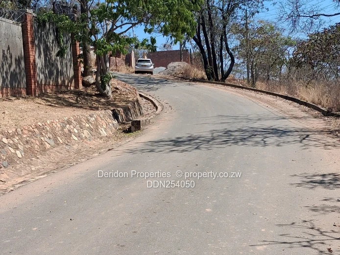 1ha Umwinsidale Stand — Level, Tree-Lined & Accessible