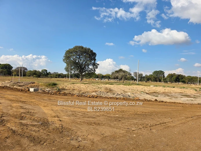 Hatfield Stands For Sale