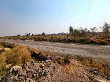 Land
