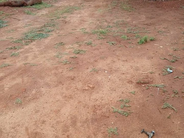 Commercial & Industrial Land