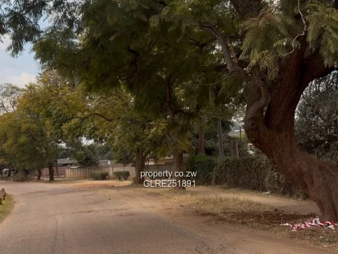 1,000 m² Tree-lined Stand with Road Frontage in Mabelreign