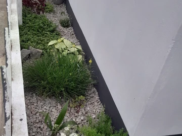 3 Unit Townhouse Complex