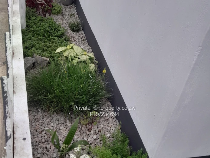 Houghton Park Gem: Modern 1-Bed with Rent Freeze + $25 off the 1st month 