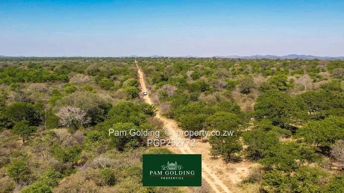 Prime 3,854-Hectare Farm for Sale – Kezi