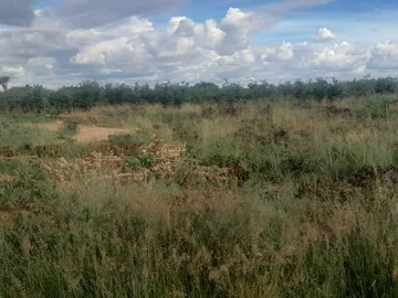 Stands & Residential Land