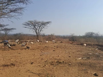 Farm & Agricultural Land