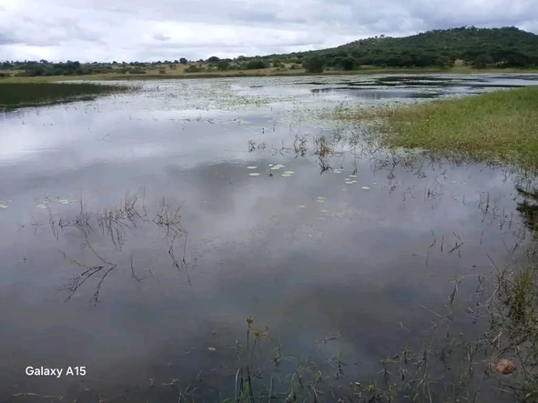Farm & Agricultural Land