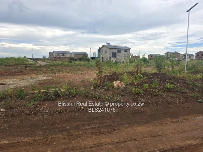 Rainham Park Stand for Sale